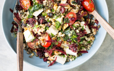 Barley & Lentil Salad