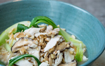 Chicken & Mushroom